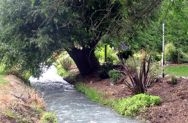 I've enjoyed creating this new garden area. I've enjoyed creating this new garden area.