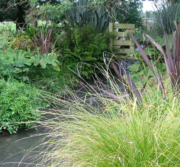 There are many different foliage plants here. Please don't look at the weeds. There are many different foliage plants here. Please don't look at the weeds.