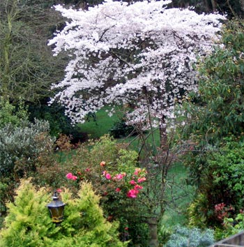 A view from the upstairs of the house. A view from the upstairs of the house.