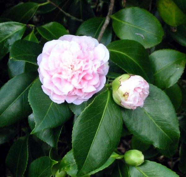 Beautiful in spring. Beautiful in spring.