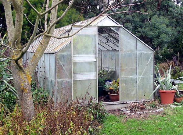 My glass-house needs a good tidy up! My glass-house needs a good tidy up!