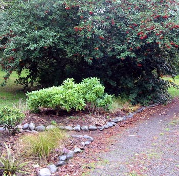 The driveway Border is cleared for winter. The driveway Border is cleared for winter.