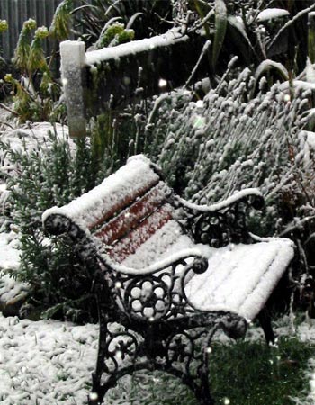 Eek! It all looks very grey and cold - - an uninviting garden seat at the moment! Eek! It all looks very grey and cold - - an uninviting garden seat at the moment!