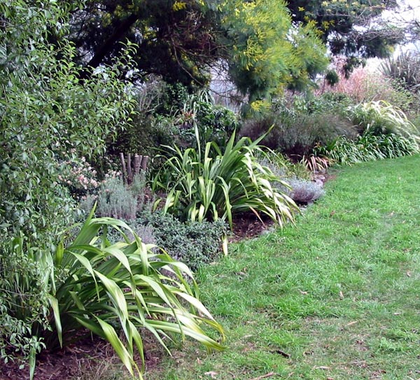 This garden borders one side of the Pond Paddock. This garden borders one side of the Pond Paddock.