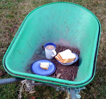  The bread is for the birds. 