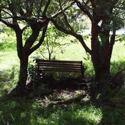 The park bench was built cheaply from a kit-set. The park bench was built cheaply from a kit-set.