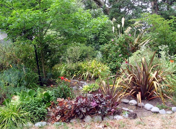 I keep shifting this path - it's easier to shift the stones than the plants. I keep shifting this path - it's easier to shift the stones than the plants.