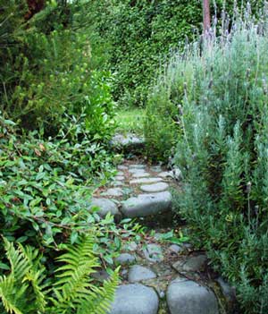 Lavenders and Ferns. Lavenders and Ferns.
