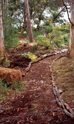 The path needs constant raking to keep it free from fallen gum tree branches and leaves. The path needs constant raking to keep it free from fallen gum tree branches and leaves.