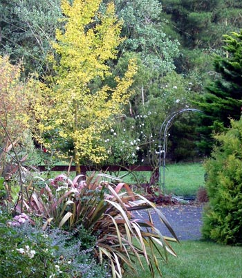 A view from the house lawn. A view from the house lawn.
