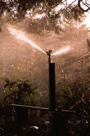 The garden would die dry without irrigation. The garden would die dry without irrigation.