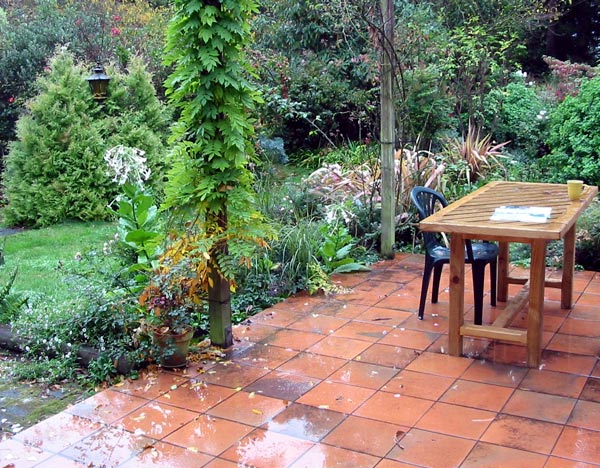 Oops - this gardening magazine is drenched! Oops - this gardening magazine is drenched!