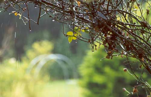 Winter can be cold and wet... Winter can be cold and wet...