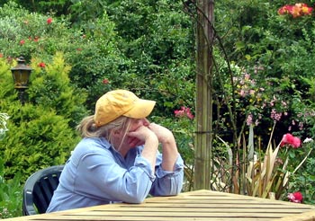 But I love meeting other gardeners on the web. But I love meeting other gardeners on the web.
