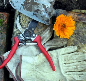 Gloves and trowel. Gloves and trowel.