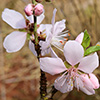 Spring 2018