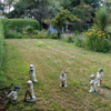 Summer cricket... 