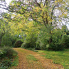 Beautiful autumn days...