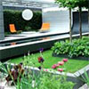 Chelsea Flower Show Envy