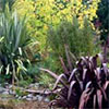 Autumn Plant Sales