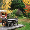 Three Seasons in Pond Cottage