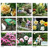 Moosey Garden Calendar