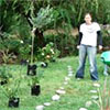The Birthday Garden...