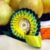Bridgwater Flower Show