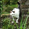 Armadale in Skye