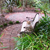 Spiral Brick Courtyard