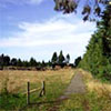 Summer Track