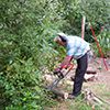 Chain-sawing