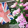 Chelsea Pensioners Garden