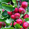 Winter gardening is a breeze... 