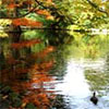 Christchurch Botanic Gardens - Autumn
