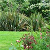 I love my garden in early autumn...