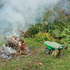 The autumn bonfire...