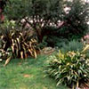 A Positively Messy Garden