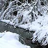 Snow in 2006