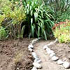 Rugosa Garden Make-Over