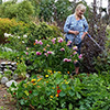 Gardening Articles 2019