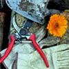 Garden Tools & Accessories