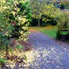 The colours of autumn...