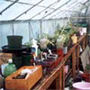 Botanical Gardens
