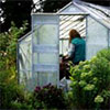Head Gardener in the Glass-House