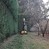 Busy hedge trimmers
