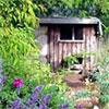 The Hen House