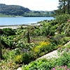 Inverewe Gardens