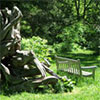 Tyler Arboretum
