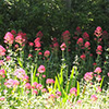 After the garden tour...